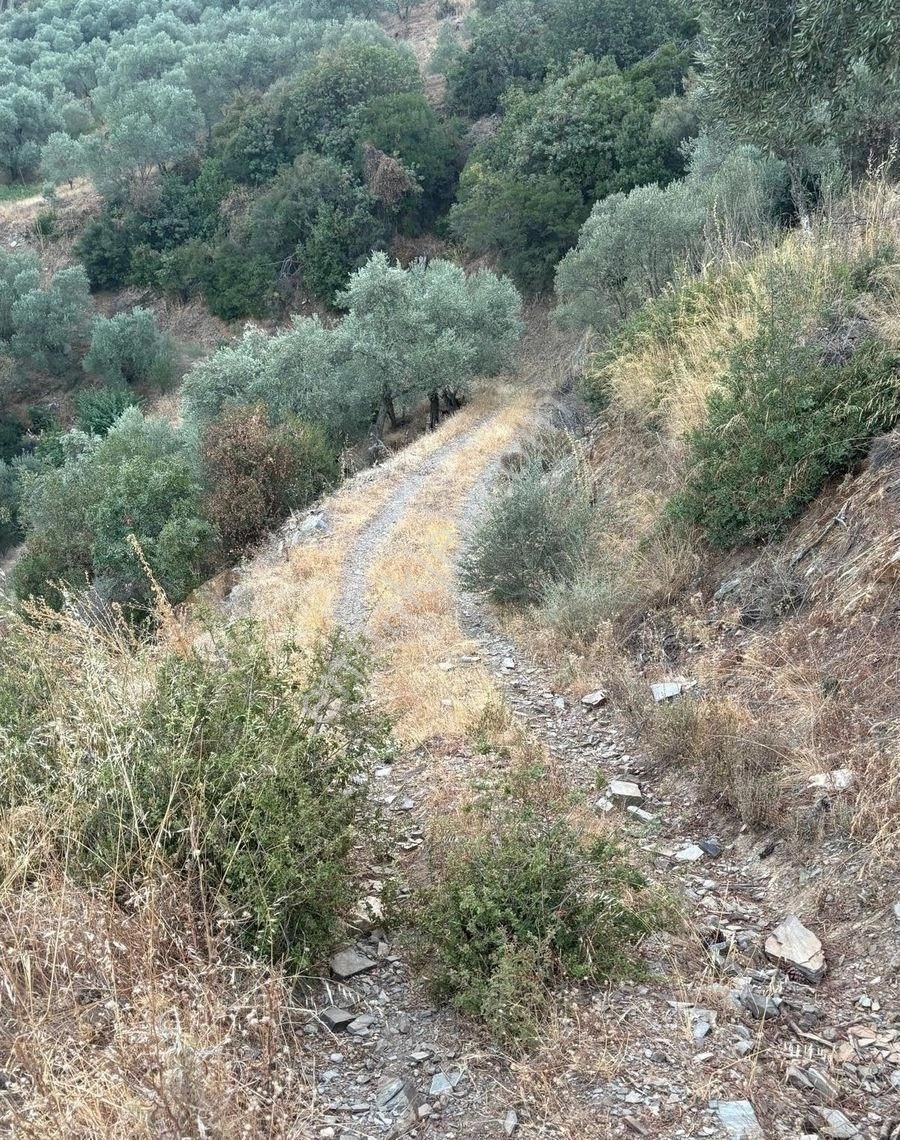 Bayındır Derneklı Köy İçinde Satılık Bahçe - Görsel 5