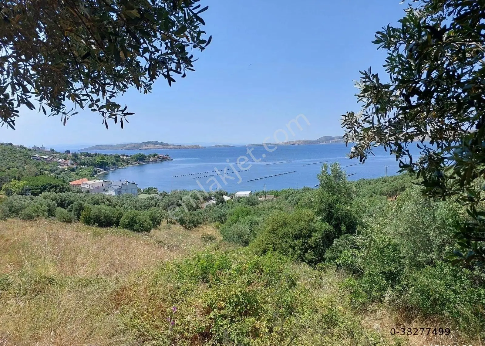 Balıkesir Erdek Narlı Mah. 2.080 M2 Satılık Zeytinlik Deniz Manzaralı - Görsel 3