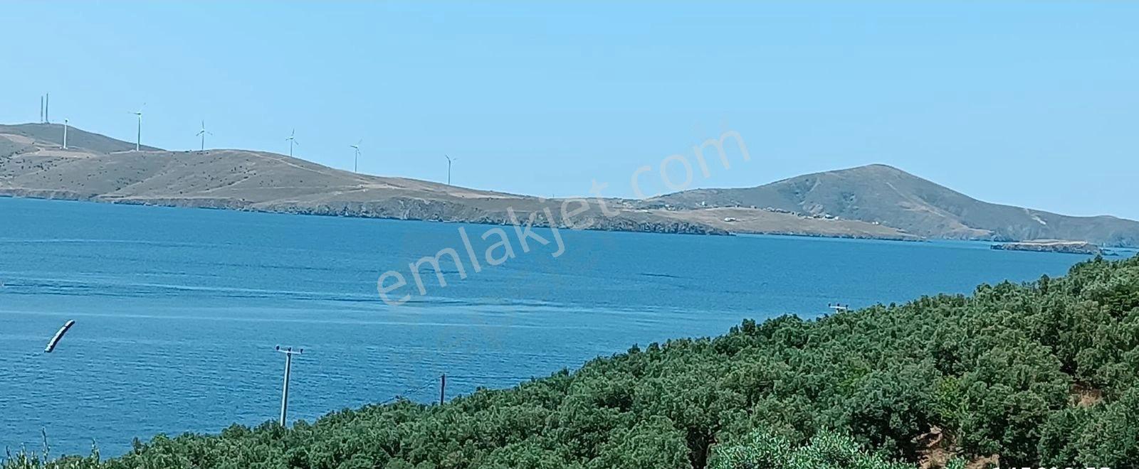 Balıkesir Erdek Narlı Mah. 2.080 M2 Satılık Zeytinlik Deniz Manzaralı - Görsel 23