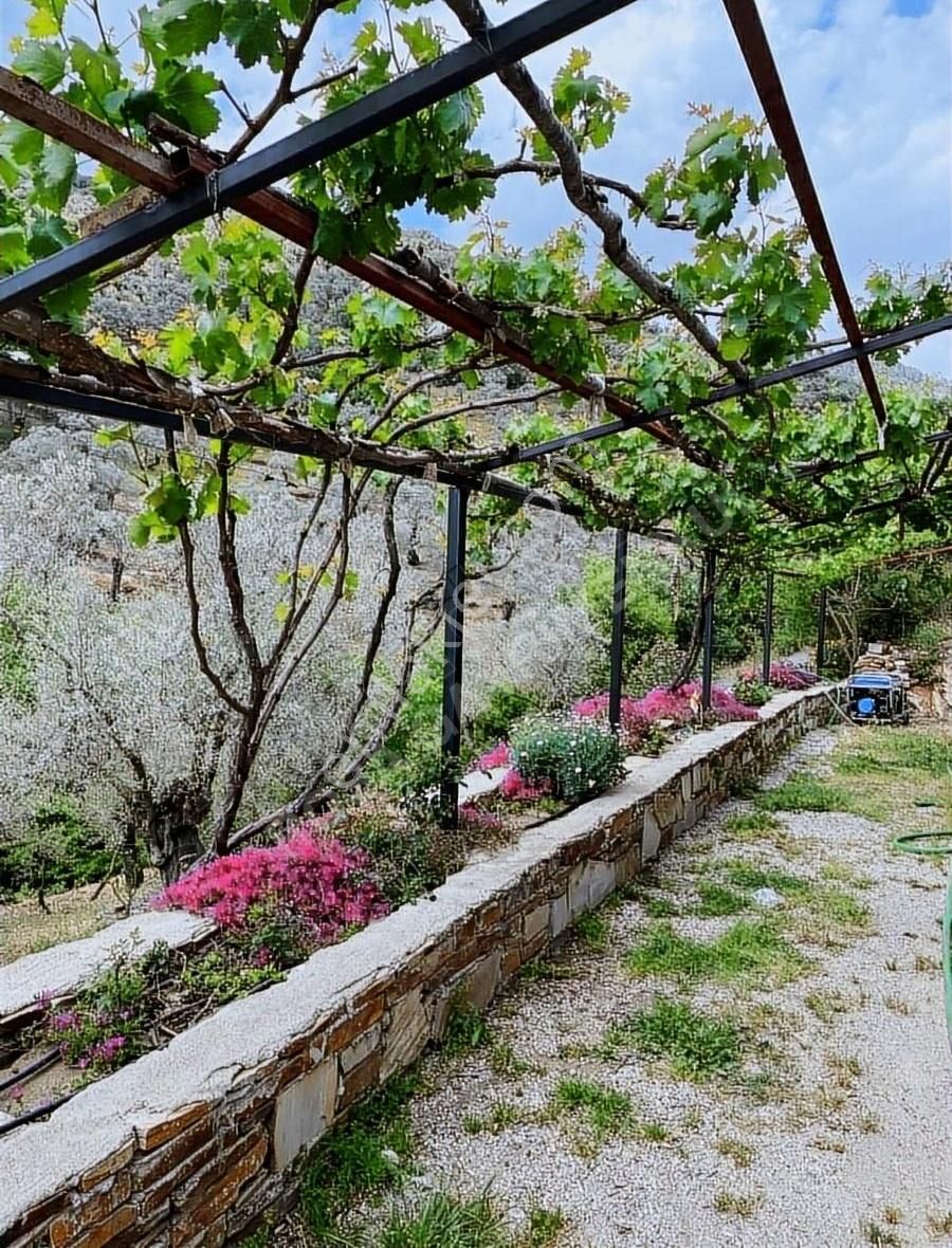 Bayındır Yakapınar Satılık Bağ & Bahçe Rosa Gayrimenkul Den Satılık