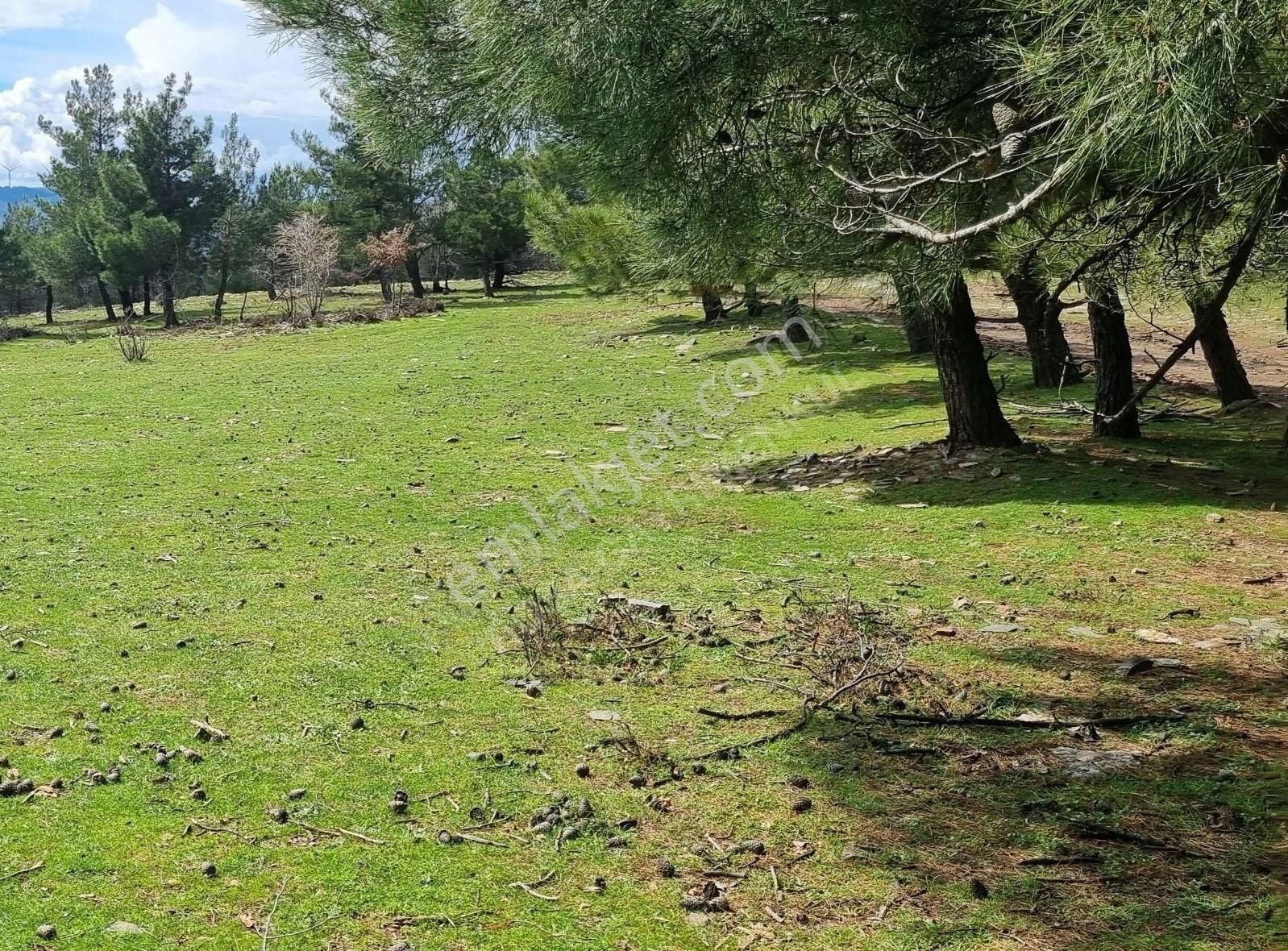Bayındır Balcılar Köyünde Doğanın İçinde Konumu Düz Bahçe - Görsel 5