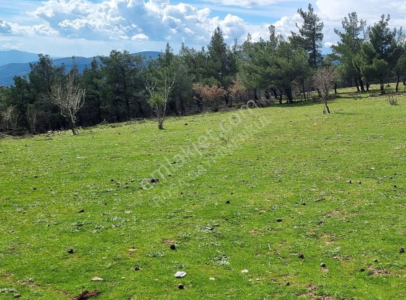 Bayındır Balcılar Köyünde Doğanın İçinde Konumu Düz Bahçe - Görsel 6