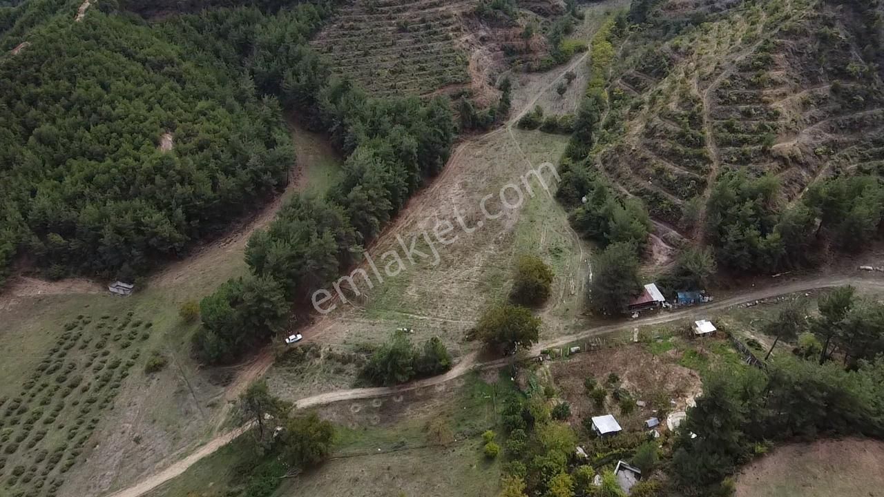 Osmaneli Camicedit Satılık Tarla Osmaneli Merkezde Kaçırılmayacak Fiyatlı Hobi Bahçesi