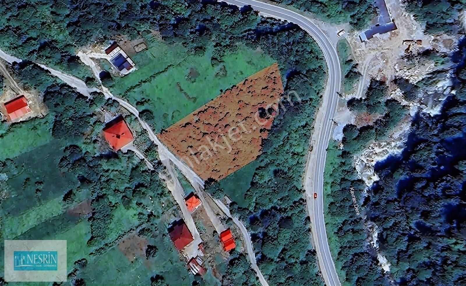 Ayder Yolu Ve Köy Yoluna Cepheli Kaçmaz Fırsat Arazi - Görsel 4
