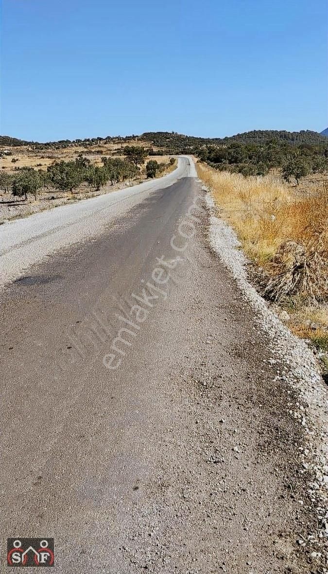 Saruhanlı Hatıplar Satılık Tarla Manisa Saruhanlı Hatipler'de Satılık Asfalt Yola Sıfır Tarla