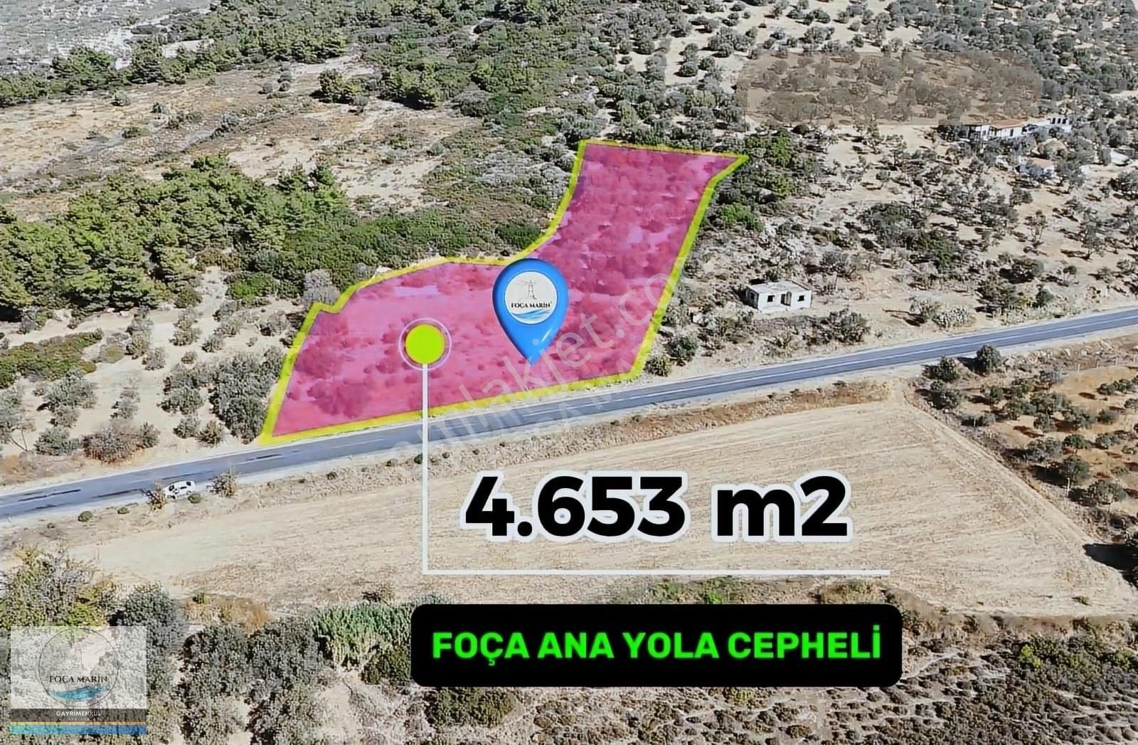 Foça Ilıpınar Satılık Tarla ILIPINARDA FOÇA İZMİR ANA YOLA CEPHELİ 4.653 M2 İMARA YAKIN