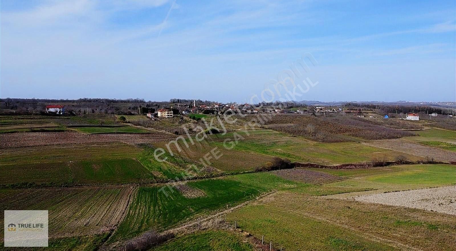 Aslanapa Çamdibi Köyü Satılık Tarla KÜTAHYA ASLANAPA ÇAMDİBİNDE 1243 M2 TARLA