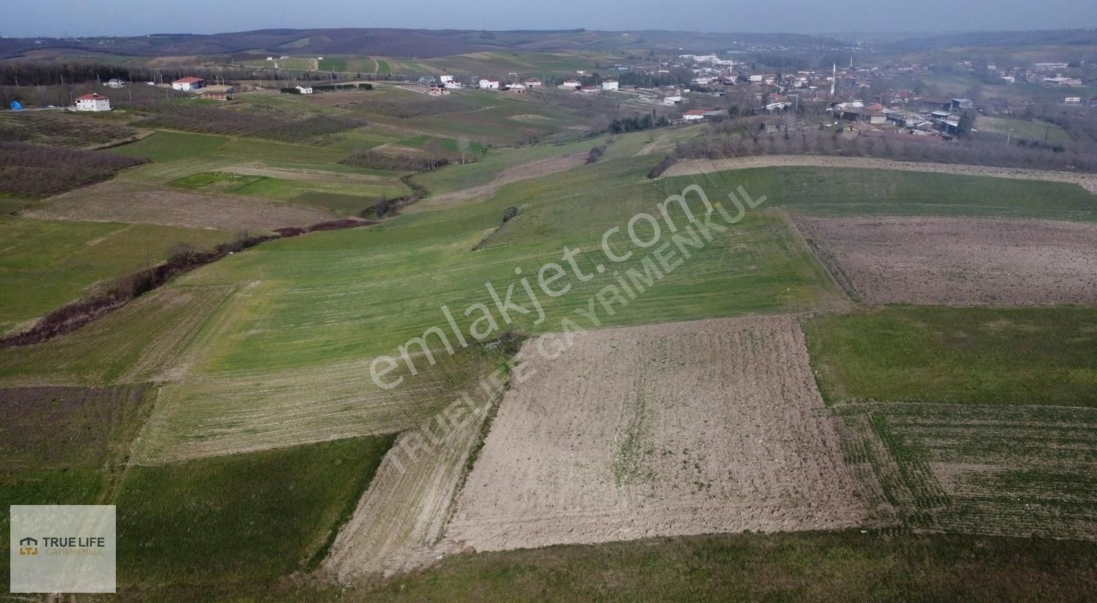 Tavşanlı Kargılı Köyü Satılık Tarla KÜTAHYA TAVŞANLI KARGILIDA KADASTROL YOL CEPHELİ 3328 M2 ARAZİ