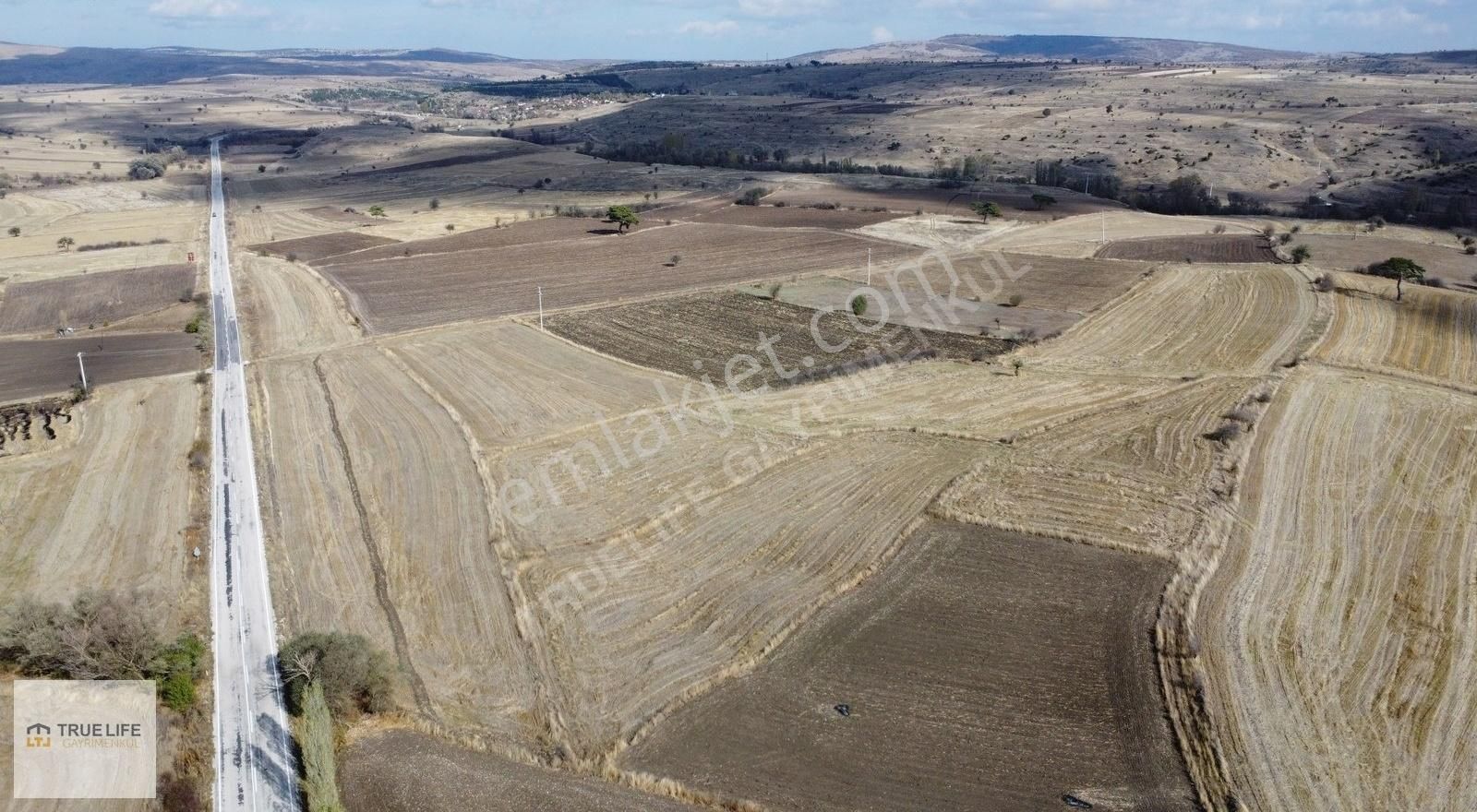 Aslanapa Çamdibi Köyü Satılık Tarla KÜTAHYA ASLANAPA ÇAMDİBİNDE KADASTROL YOLLU 1135 M2 ARAZİ