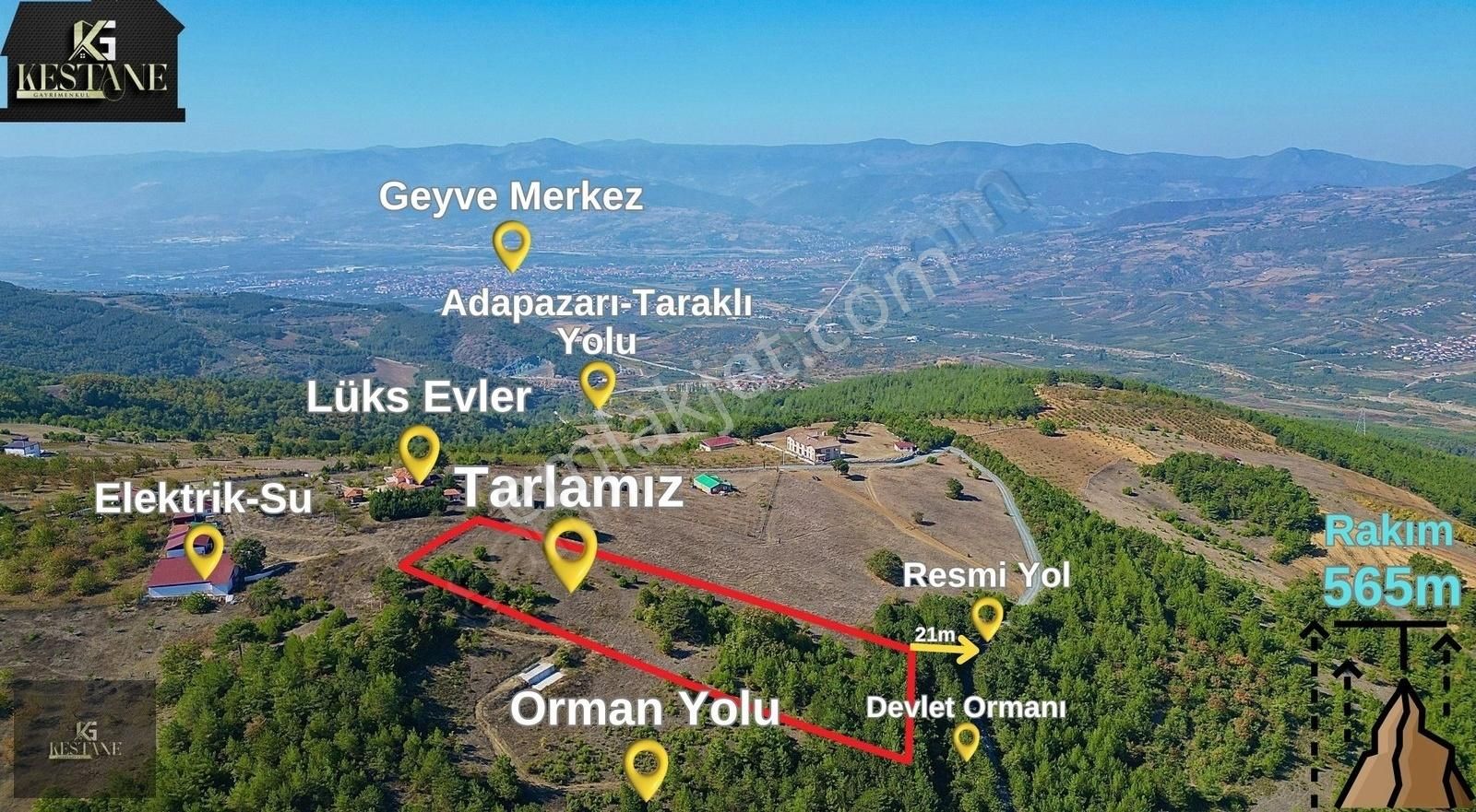 Geyve Ahibaba Satılık Tarla Elektrik Suyu Olan| Doğa Manzarasına Hakim| Yola 21m Uzakta