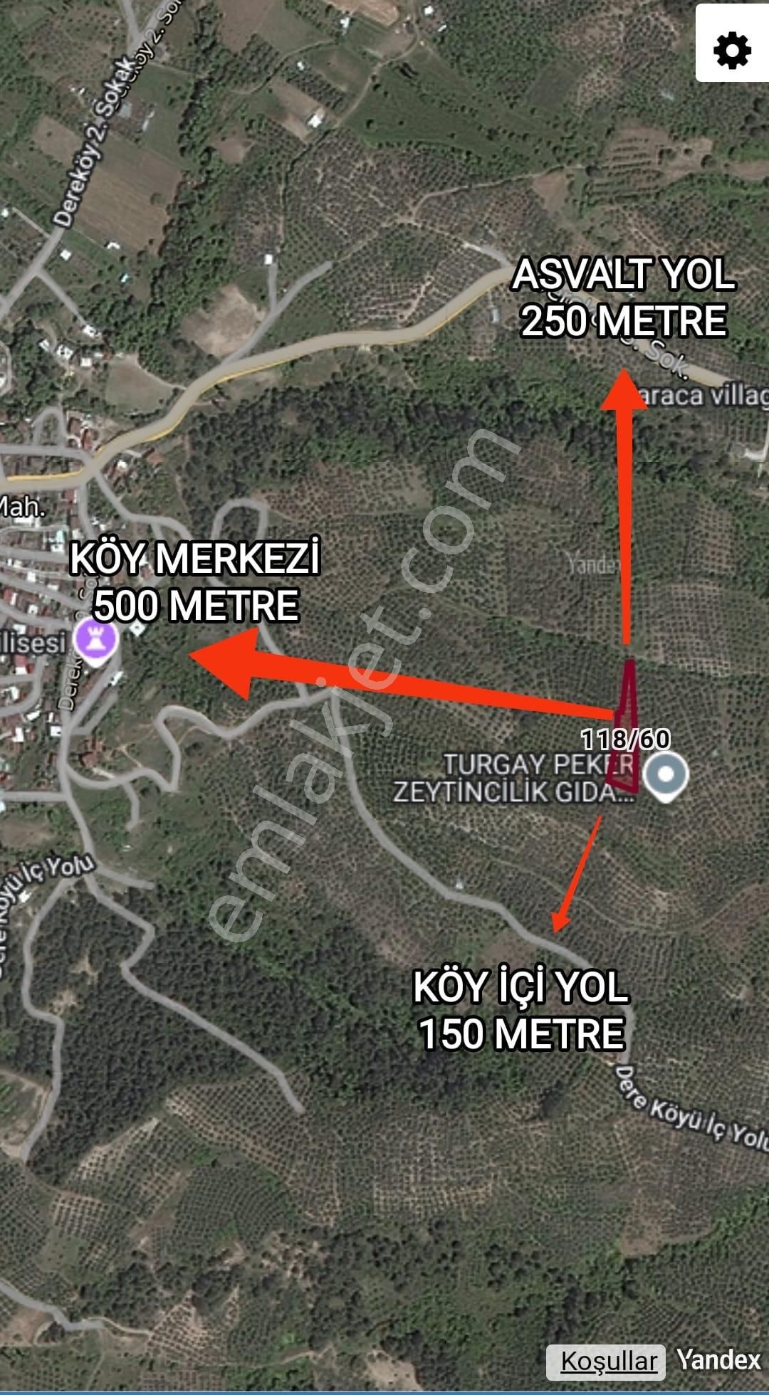 Mudanya Dereköy Satılık Zeytinlik  MUDANYA DEREKÖY'DE YERLEŞİMİN DİBİNDE DÜMDÜZ ARAZİ 1.666m2 60 KÖK AĞAÇ ZEYTİNLİK