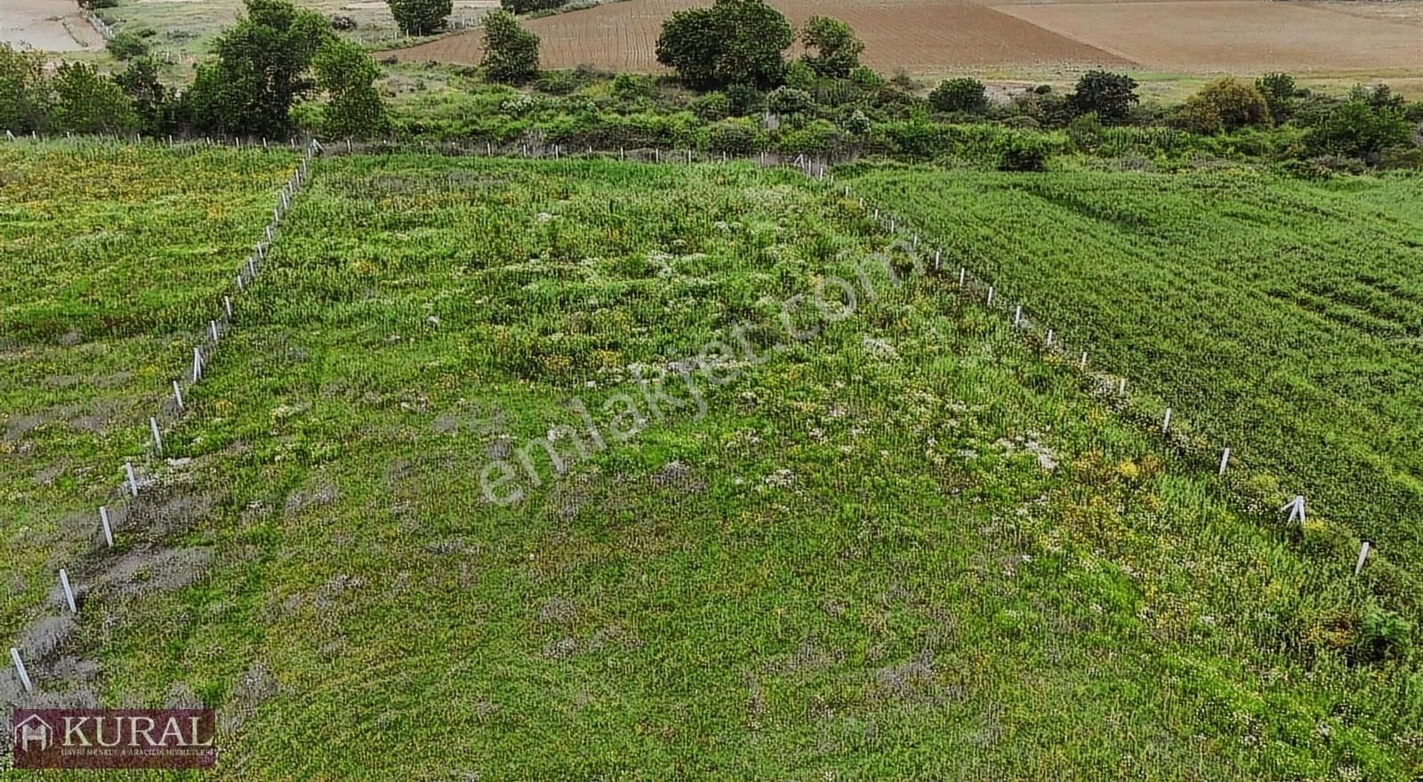 Menderes Altıntepe Satılık Tarla MUHTEŞEM MANZARA&KONUMDA 4080 M² ARAZİ İZMİR-MENDERES-ALTINTEPE