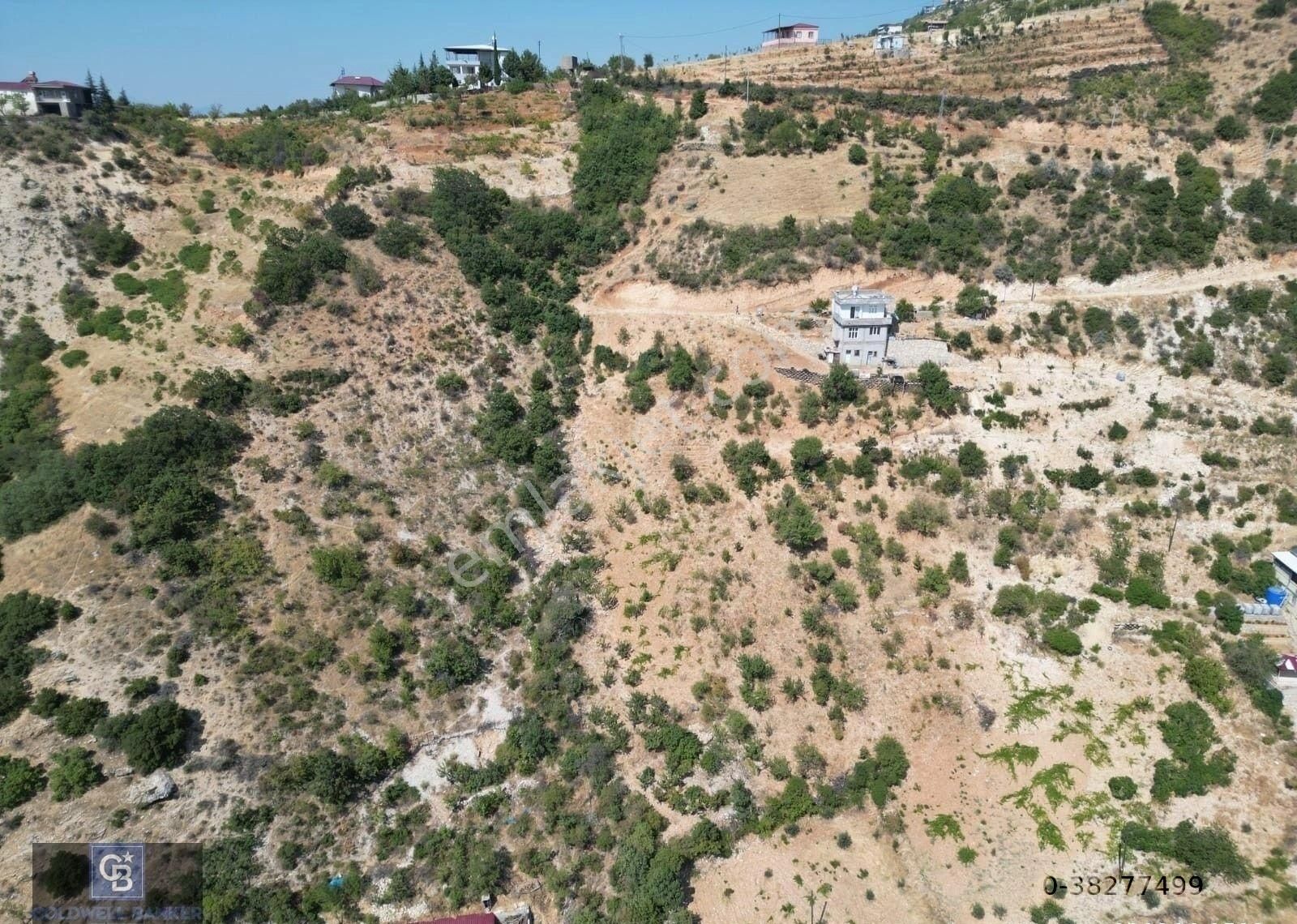 Dulkadiroğlu Dereli Satılık Bağ & Bahçe Cb'den Şehir Merkezine Yakın Kandılda Tek Tapulu Satılık Bağ