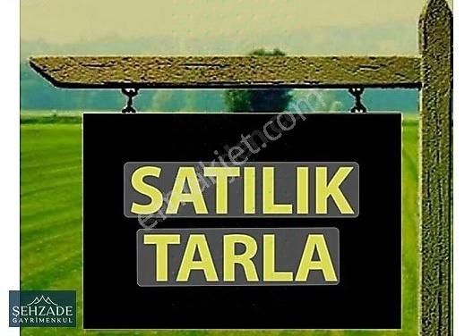 Tavas Karahisar Satılık Tarla ŞEHZADE'DEN TAVAS KARAHİSAR'DA SATILIK 3.070 METREKARE TARLA