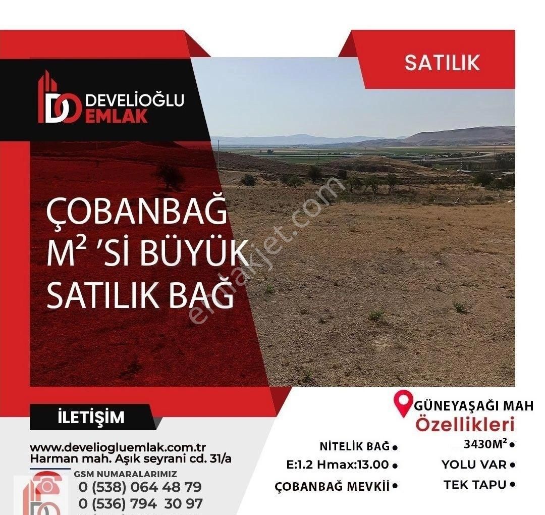 Develi Güneyaşağı Satılık Bağ & Bahçe ÇOBANBAĞI MEVKİİ NDE KAÇMAYACAK METREKARESİ BÜYÜK BAĞ