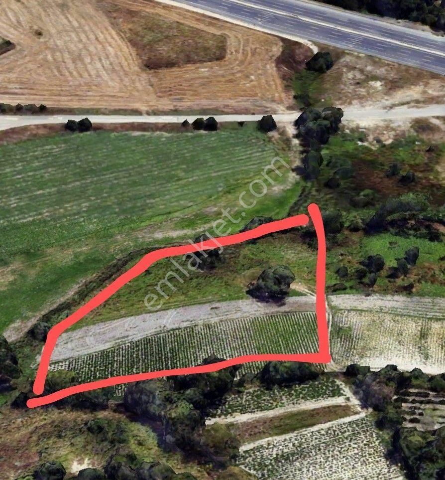 Çatalca Kızılcaali Satılık Tarla ÇATALCA KIZILCAALİ 1500m² TEK TAPU OTOBANA 200 METRE UZAKLIKTA SATILIK ARAZI 