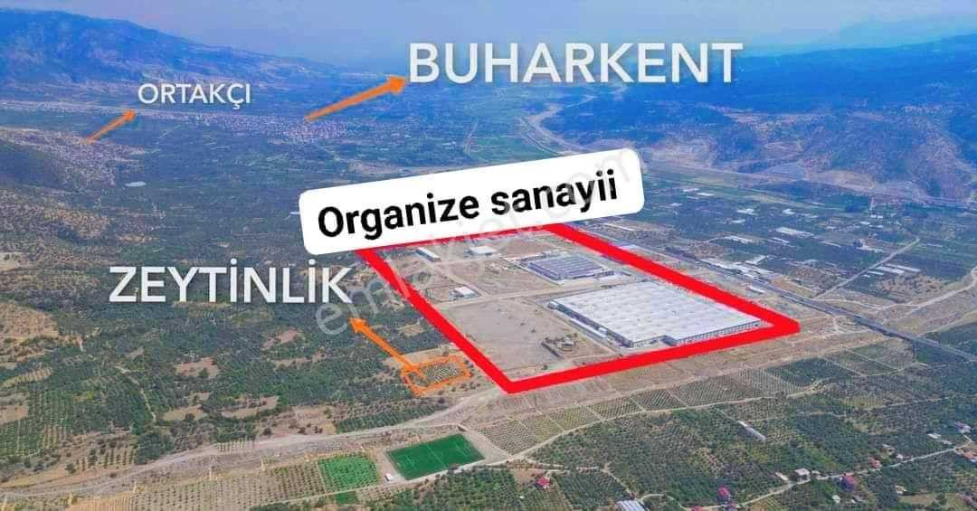 Buharkent Ortakçı Satılık Zeytinlik Aydın Buharkent Organizeye Sanayi Yanı Zeytinlik