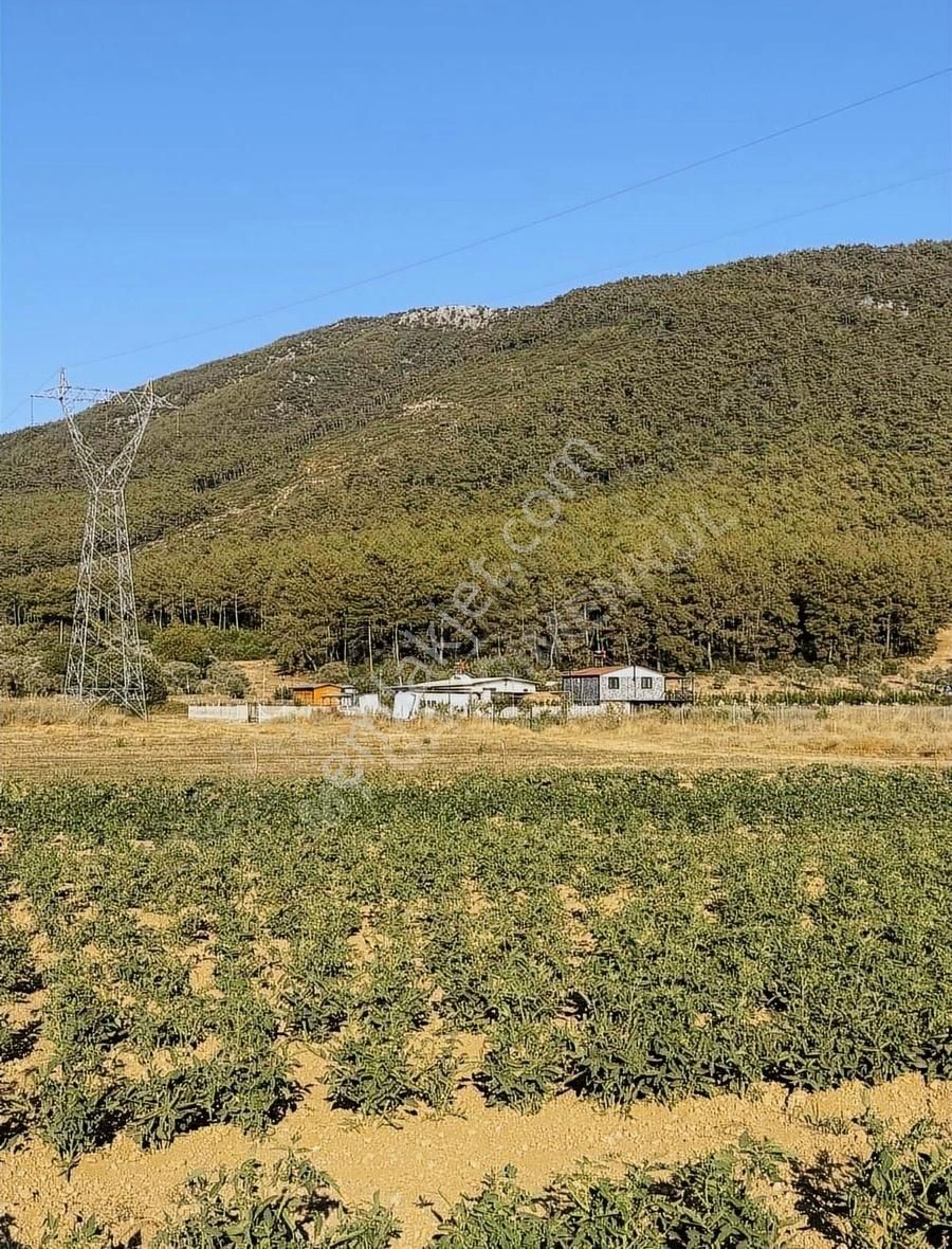 My Gayrimenkul'den Tuzabat'da 2.650m Fırsat Tarla - Görsel 25
