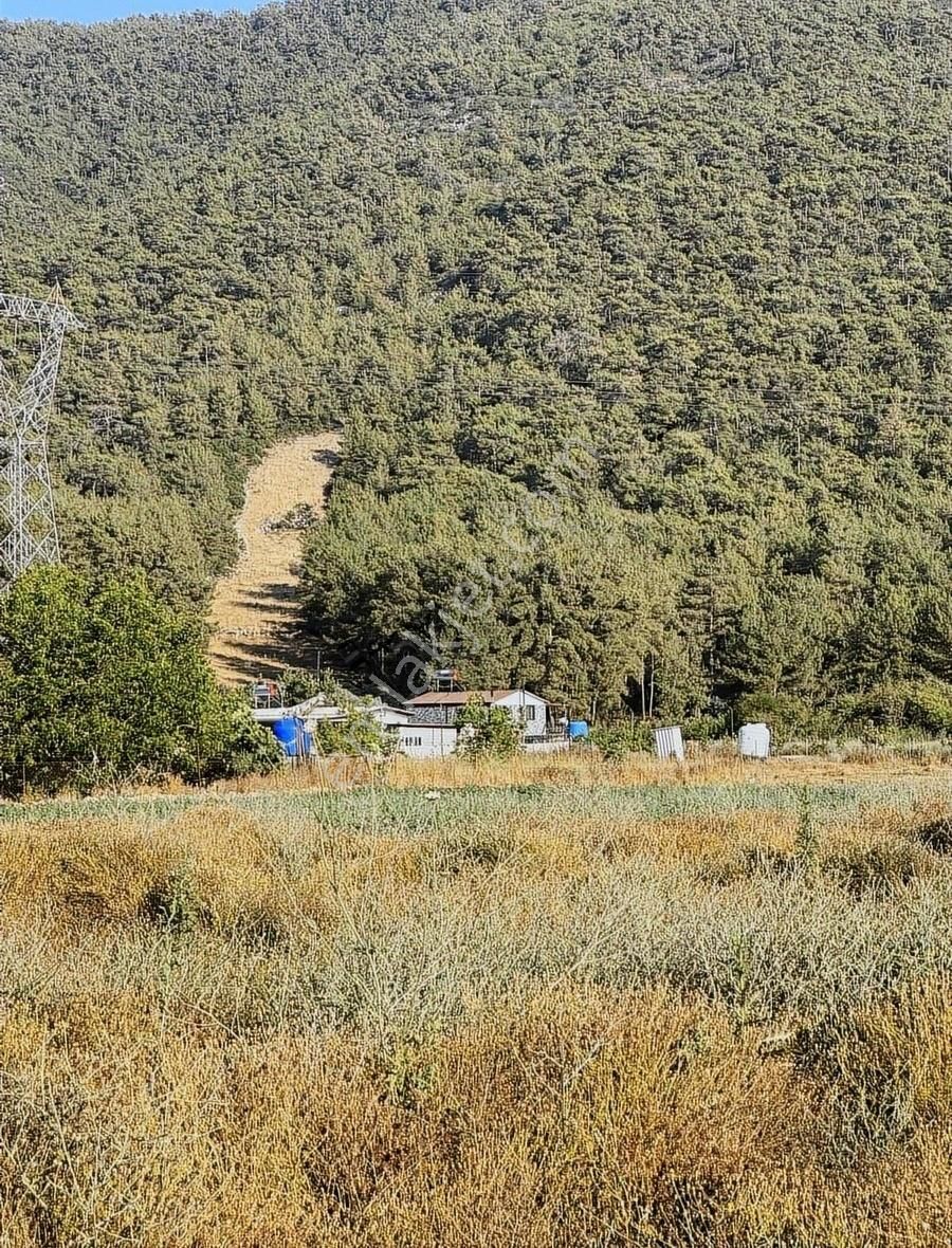 My Gayrimenkul'den Tuzabat'da 2.650m Fırsat Tarla - Görsel 11