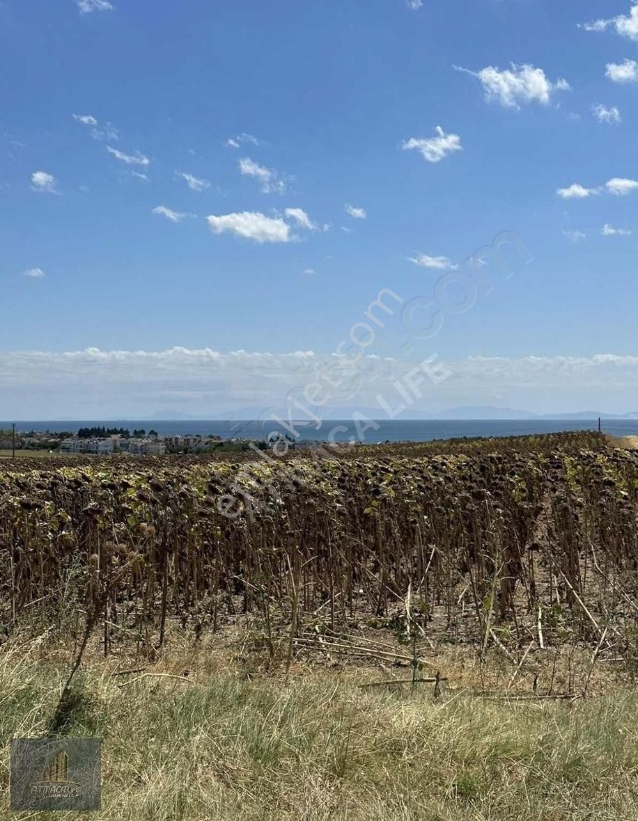 Marmaraereğlisi Çeşmeli Satılık Tarla Tekirdağ Marmaraereğlısı Çeşmeli 193 M2