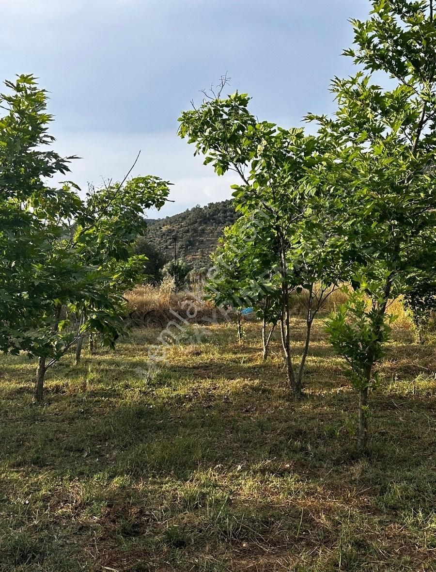 My Gayrimenkul'den İzmir Bodrum Yolu Üzeri Ticari + Konut Arazi - Görsel 7