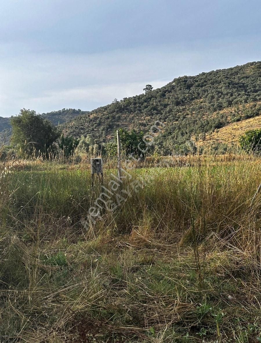 My Gayrimenkul'den İzmir Bodrum Yolu Üzeri Ticari + Konut Arazi - Görsel 13