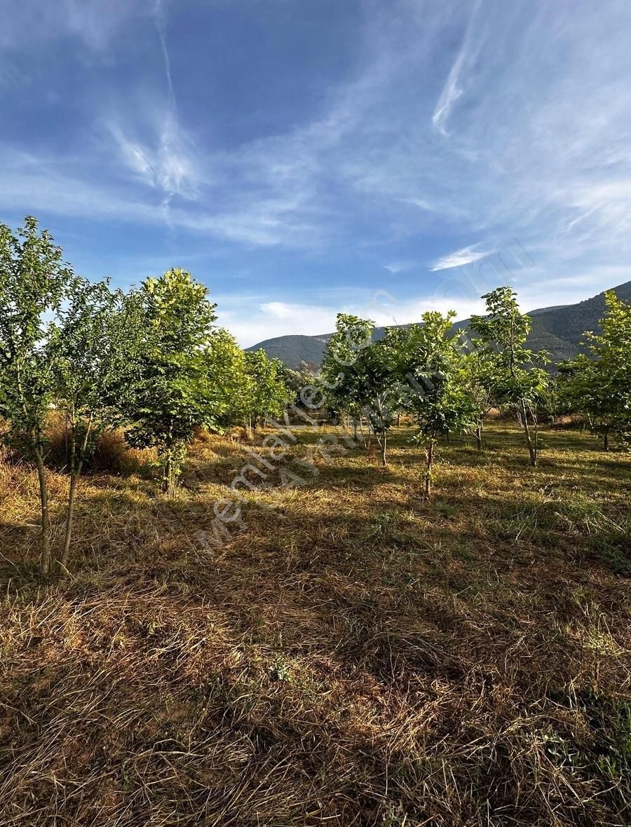 My Gayrimenkul'den İzmir Bodrum Yolu Üzeri Ticari + Konut Arazi - Görsel 16