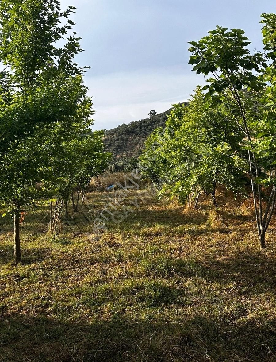 My Gayrimenkul'den İzmir Bodrum Yolu Üzeri Ticari + Konut Arazi - Görsel 15