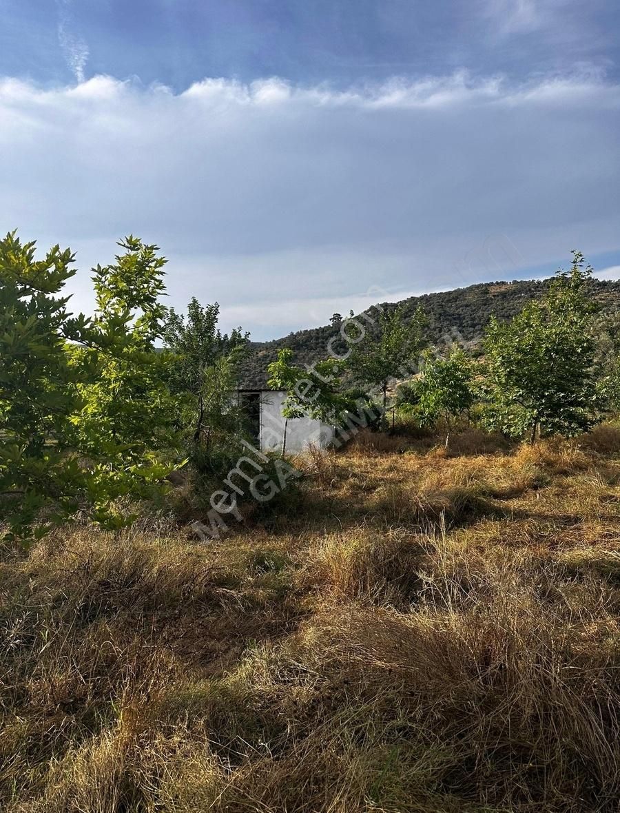 My Gayrimenkul'den İzmir Bodrum Yolu Üzeri Ticari + Konut Arazi - Görsel 3