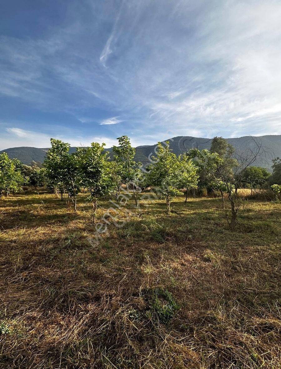 My Gayrimenkul'den İzmir Bodrum Yolu Üzeri Ticari + Konut Arazi - Görsel 5