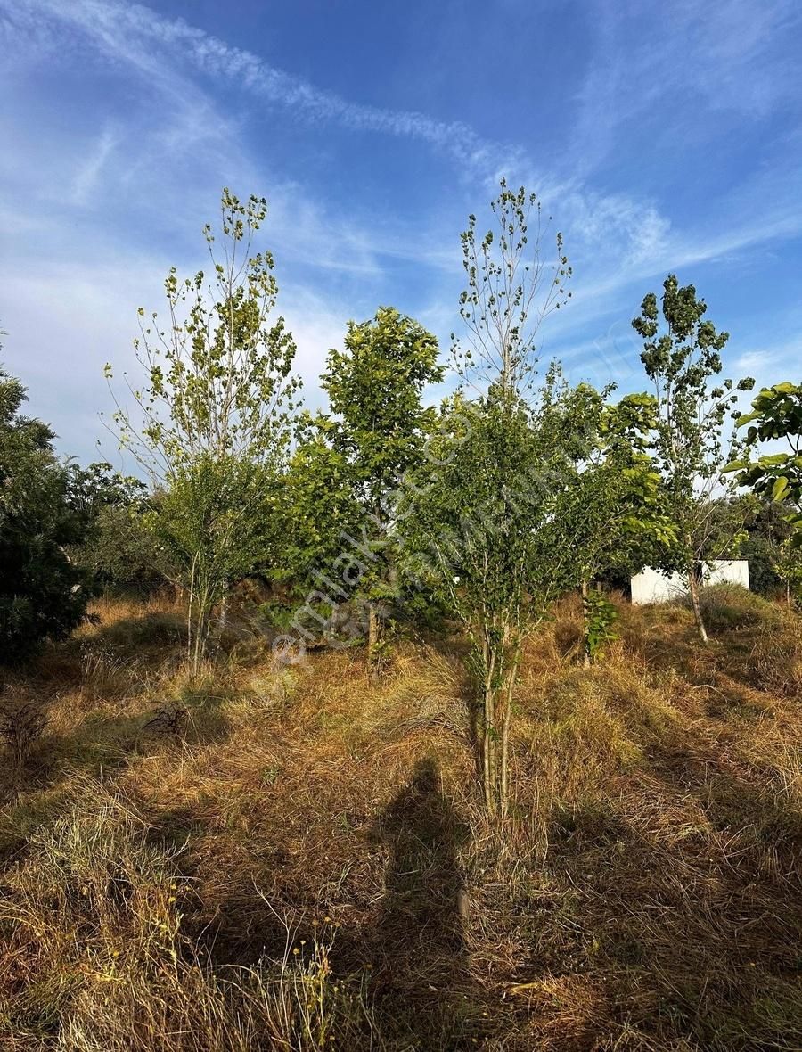 My Gayrimenkul'den İzmir Bodrum Yoluna 60m Mesafede İmar Barışlı - Görsel 3