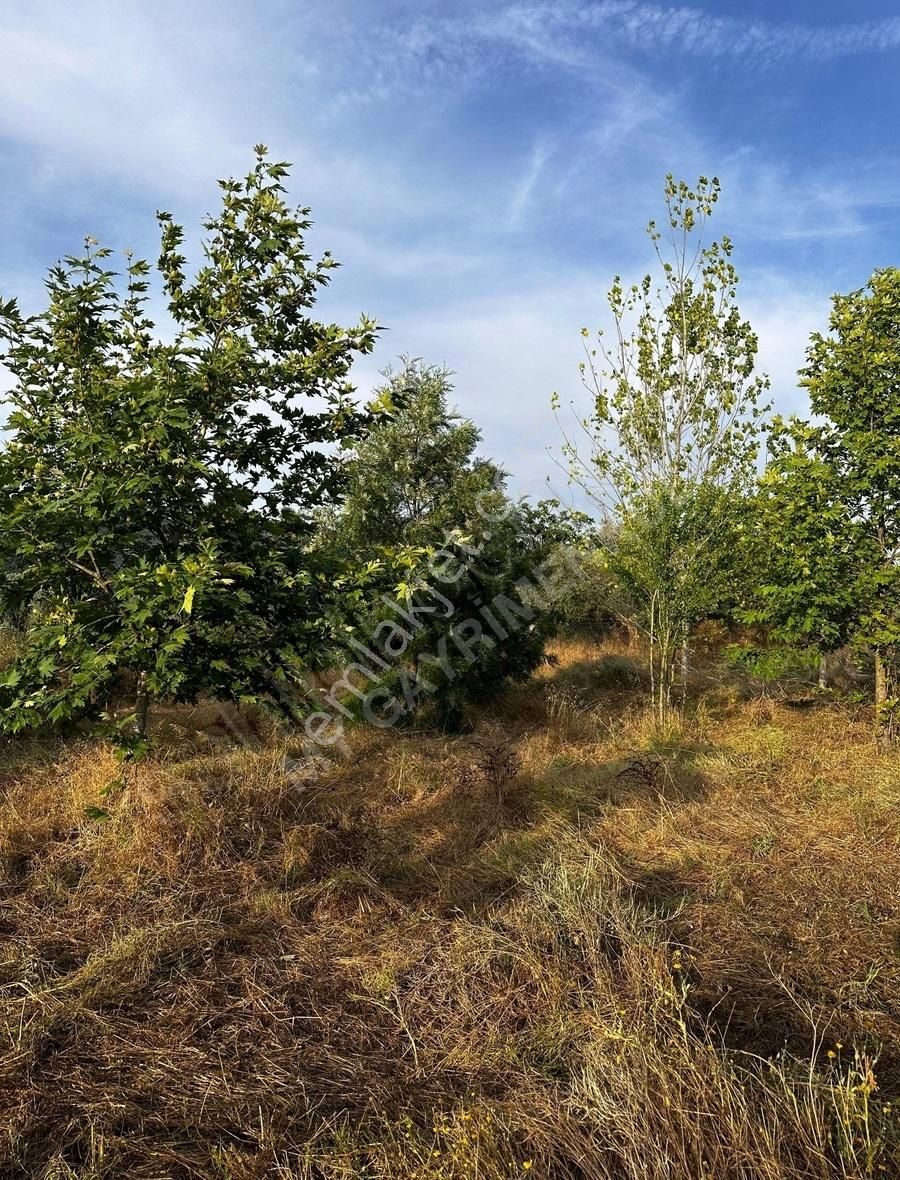 My Gayrimenkul'den İzmir Bodrum Yoluna 60m Mesafede İmar Barışlı - Görsel 6
