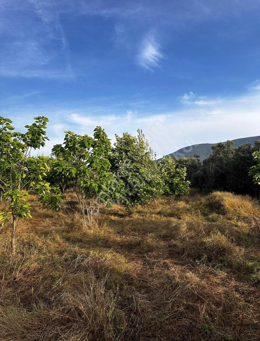 My Gayrimenkul'den İzmir Bodrum Yoluna 60m Mesafede İmar Barışlı - Görsel 8