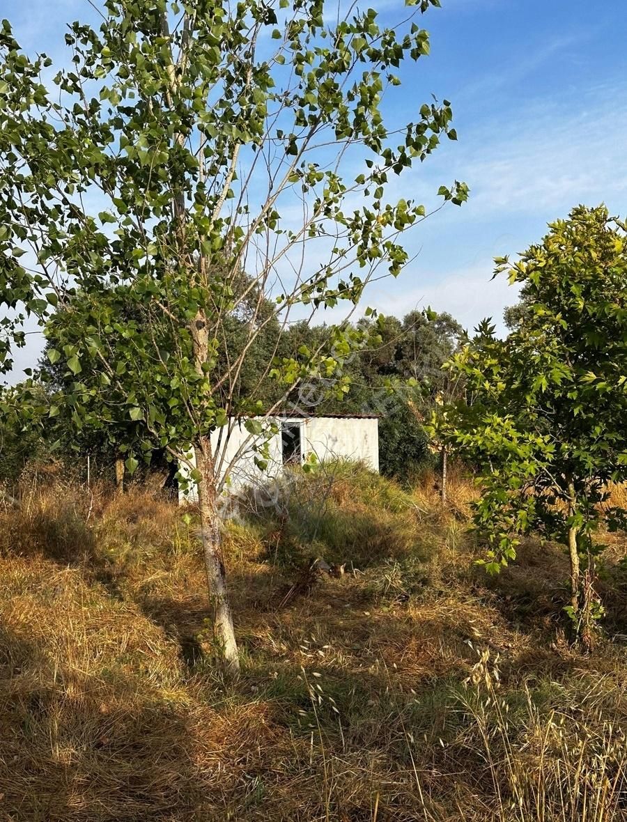 My Gayrimenkul'den İzmir Bodrum Yoluna 60m Mesafede İmar Barışlı - Görsel 15