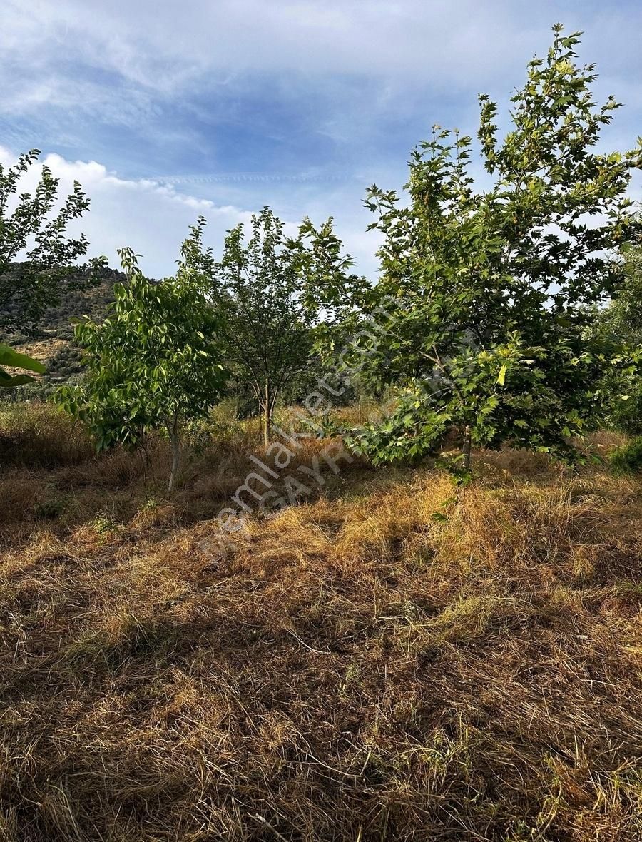 My Gayrimenkul'den İzmir Bodrum Yoluna 60m Mesafede İmar Barışlı - Görsel 12