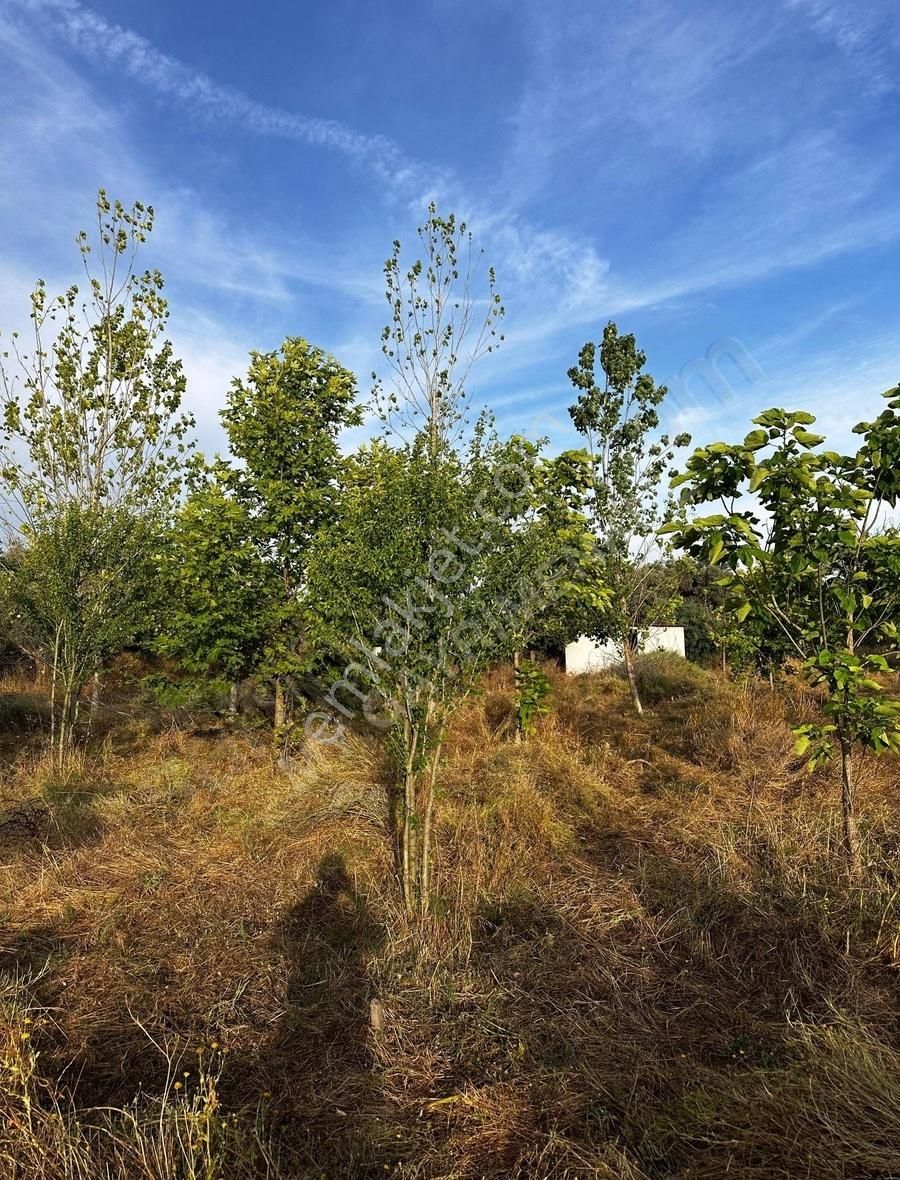 My Gayrimenkul'den İzmir Bodrum Yoluna 60m Mesafede İmar Barışlı - Görsel 7
