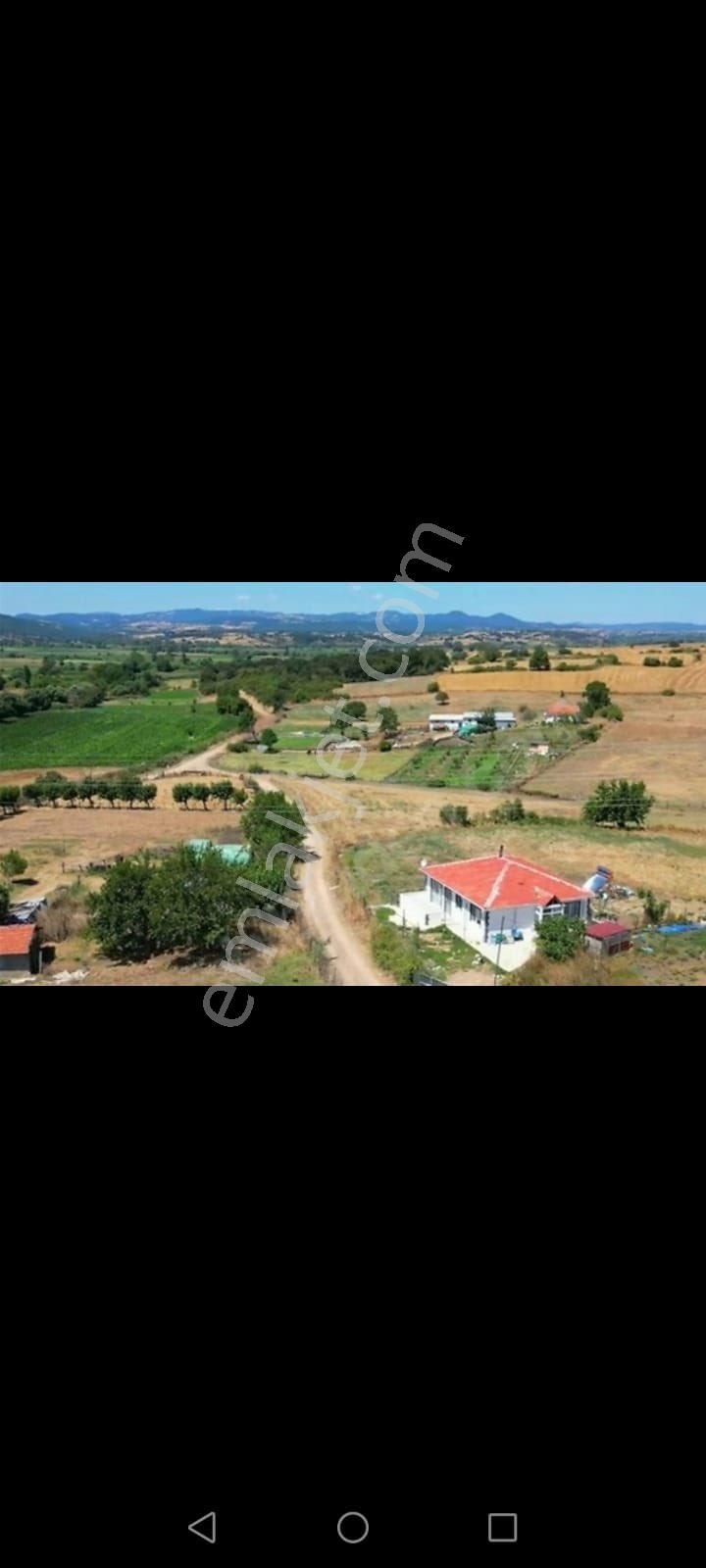 Biga Sarıca Köyü Satılık Tarla 🌾EFSANE GROUPTAN ÇANAKKALE BİGA SARICA DA SATILIK TARLA FIRSATI🌾