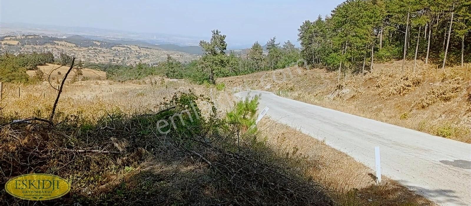 Çan Halilağa Köyü Satılık Tarla ÇANAKKALE ÇAN HALİLAĞA KÖYÜNDE ANAYOL KENARI SATILIK TARLA