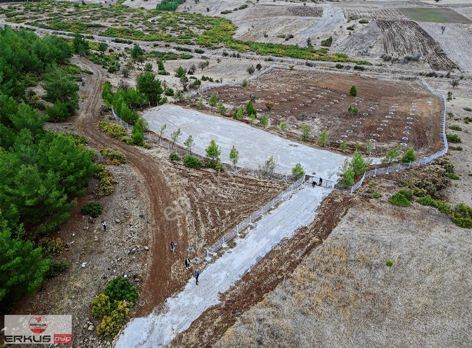 Acıpayam Dedebağı Satılık Tarla ERKUŞ GYODAN ACIPAYAM DEDEBAĞ FIRSAT ARAZİ