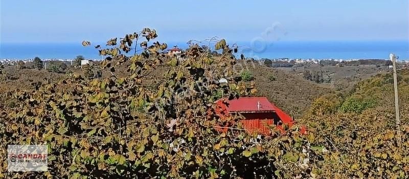 Kocaali Alandere Satılık Konut İmarlı Candaş Emlak Gayrimenkul'den Cadde Üzerinde İmarlı Bahçe