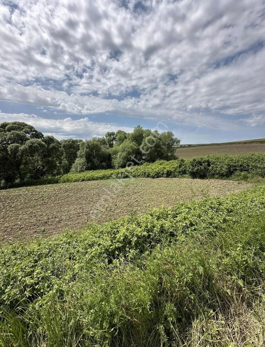 İstanbul Silivri Büyük Sineklide 560 M2 Arsa - Görsel 4