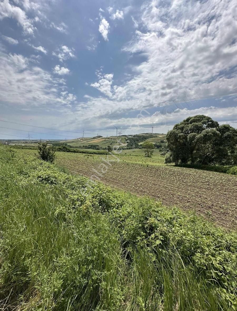 İstanbul Silivri Büyük Sineklide 560 M2 Arsa - Görsel 2