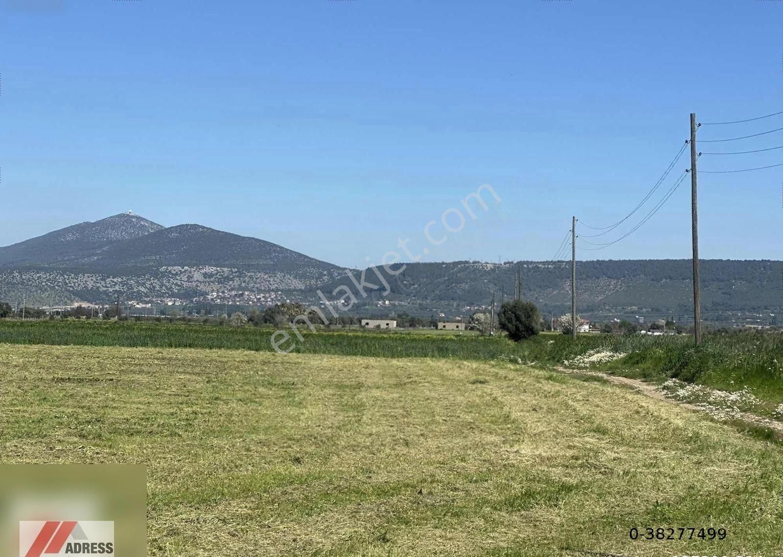 Milas Ağaçlıhüyük Satılık Tarla Milas Ağaçlıhöyükte 19000m2 Satılık Tarla