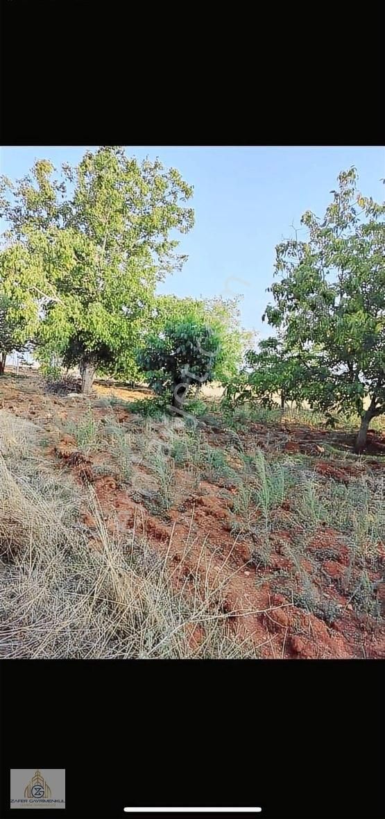 Tavas Karahisar Satılık Konut İmarlı KARAHİSARDA SATILIK İMARLI ARSA SİZLERLE....