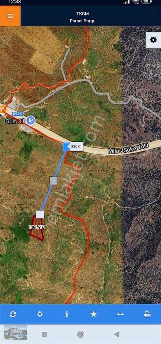 Milas Muğla Pınarcık'ta Satılık Zeytinlik - Görsel 5