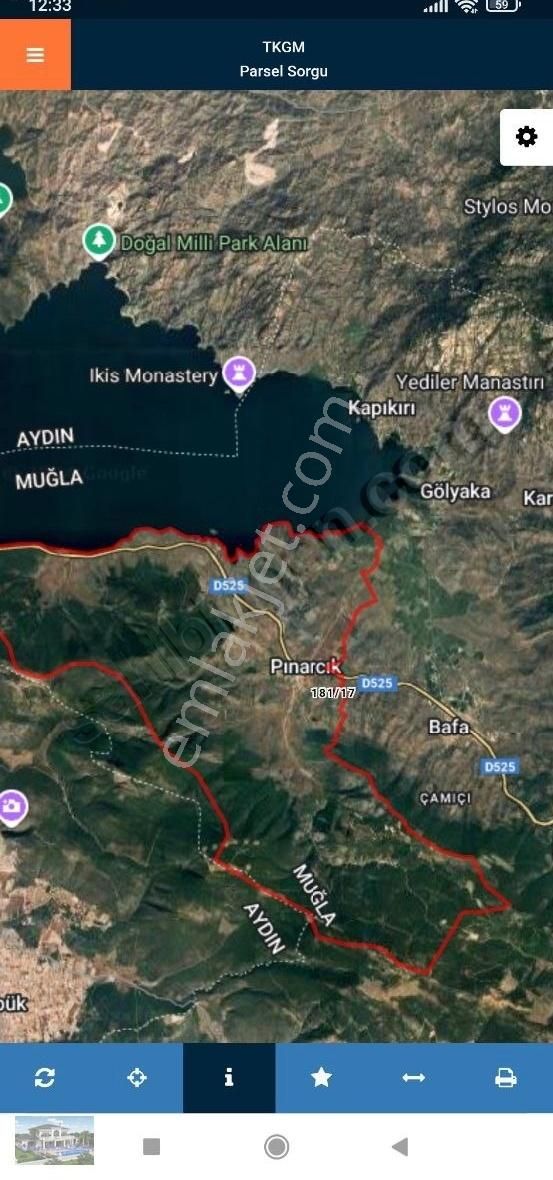 Milas Muğla Pınarcık'ta Satılık Zeytinlik - Görsel 2