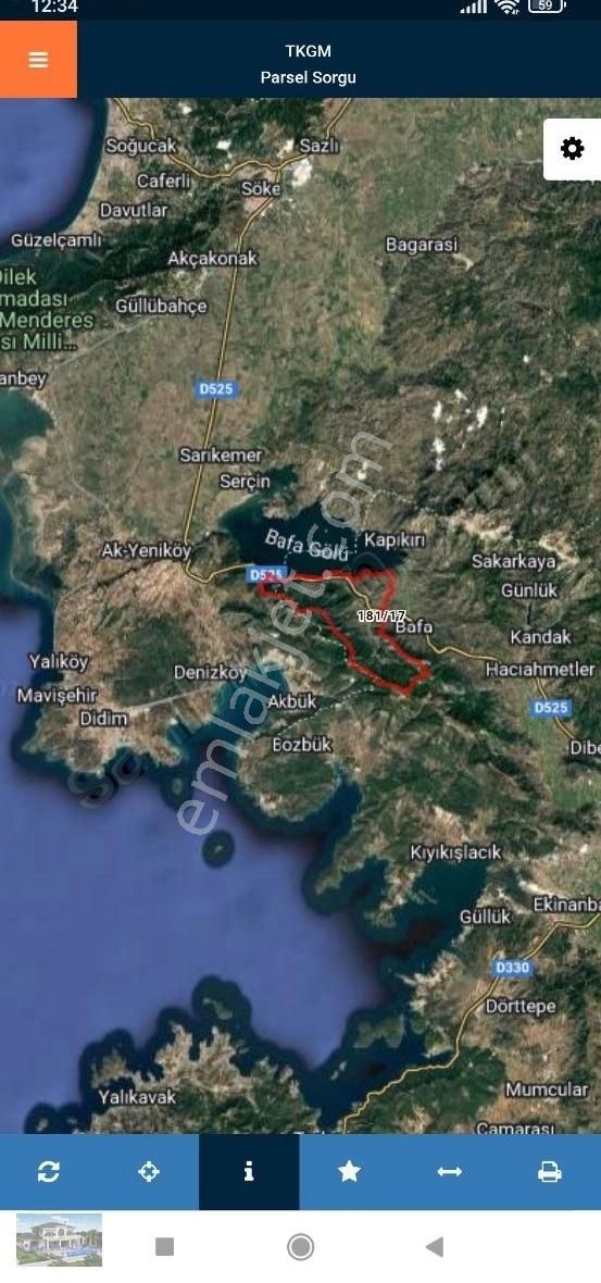 Milas Muğla Pınarcık'ta Satılık Zeytinlik - Görsel 6