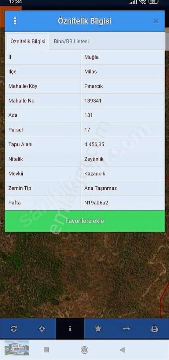 Milas Muğla Pınarcık'ta Satılık Zeytinlik - Görsel 4