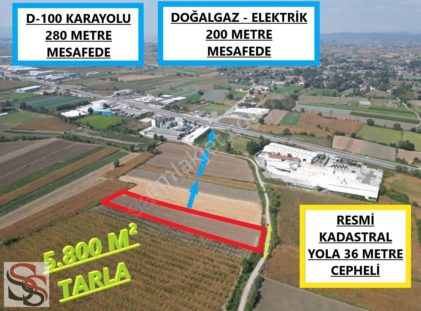 Erenler Çaykışla Satılık Tarla Erenler D-100 Karayoluna 240 Metre 5.800 M² Yatırımlık Tarla