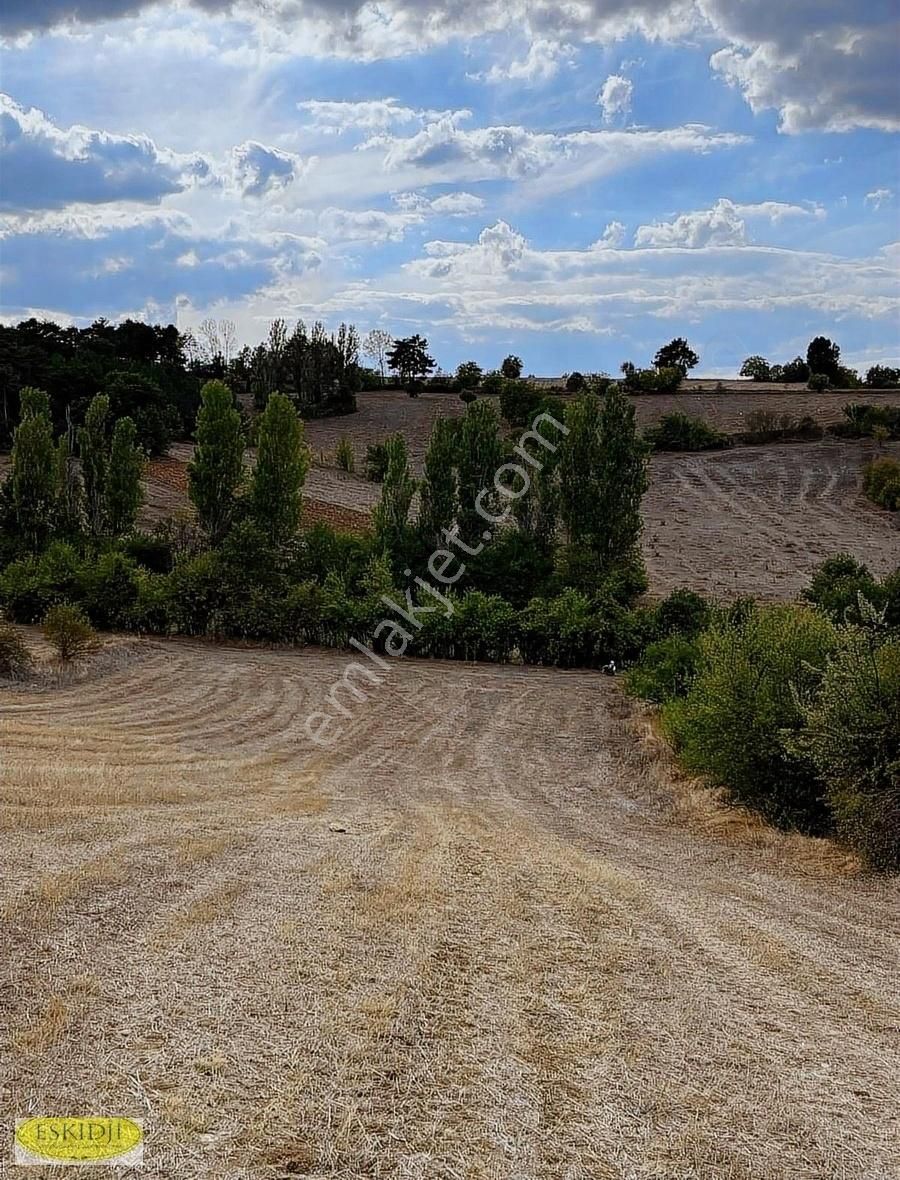 Söğüt Dömez Köyü Satılık Tarla Bilecik Söğüt Dömez Köyünde 4.896m² Tarla Köye 250mt